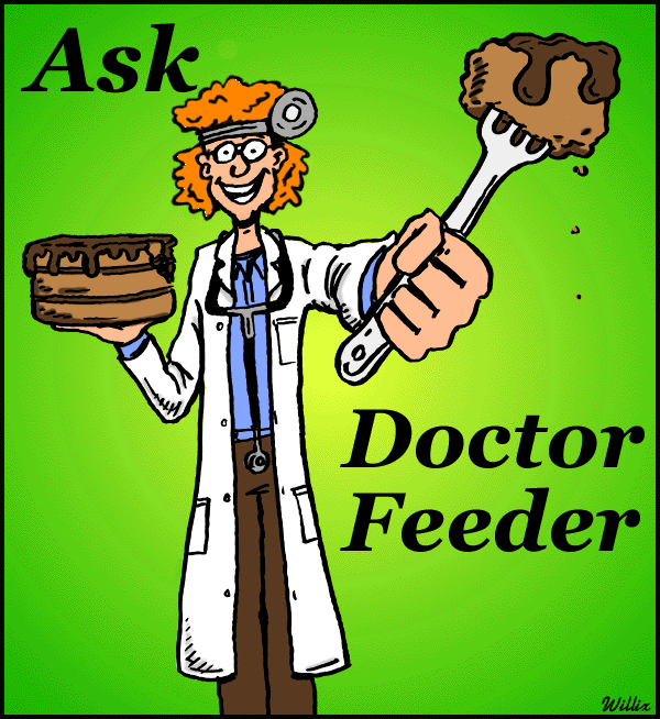 Doctor Feeder